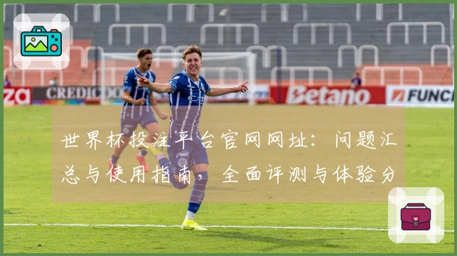 世界杯投注平台官网网址：问题汇总与使用指南，全面评测与体验分享