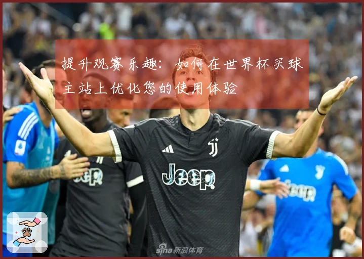 提升观赛乐趣：如何在世界杯买球主站上优化您的使用体验
