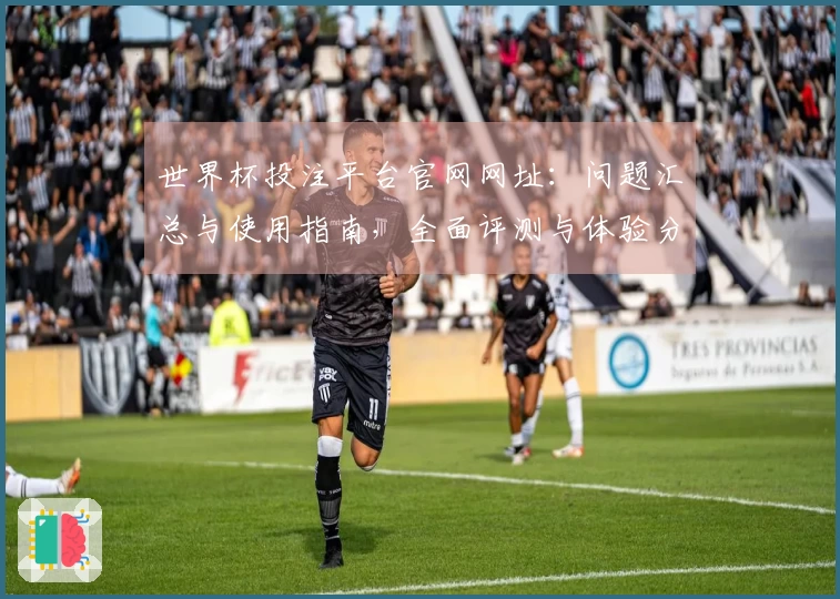 世界杯投注平台官网网址：问题汇总与使用指南，全面评测与体验分享